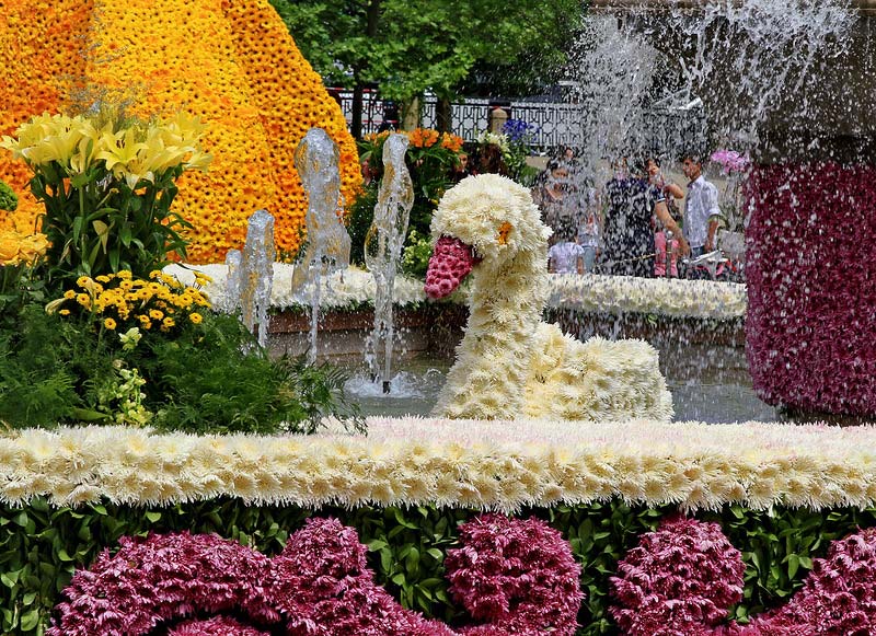 фестиваль цветов в азербайджане