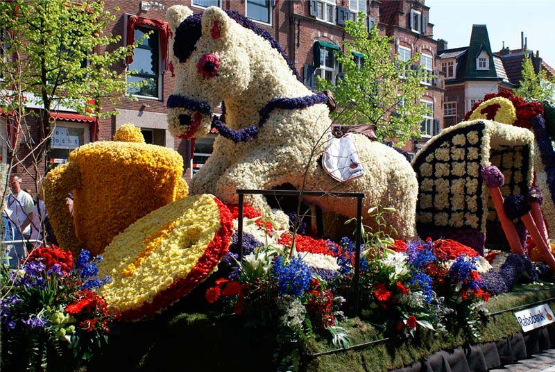 Цветочный фестиваль Bloemencorso в Нидерландах