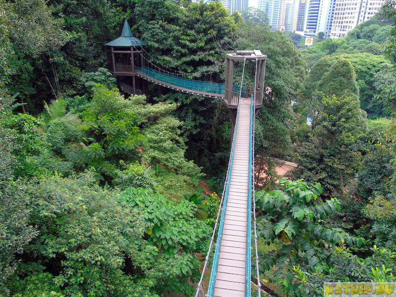 Телебашня Менара в Куала-Лумпуре + парк подвесных мостов