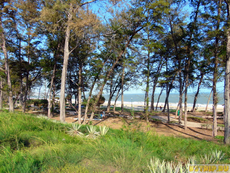 Пляж в Фантьете – жёлтый песок, зелёные сосны и сильный ветер
