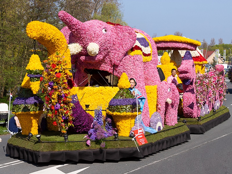 цветочный фестиваль