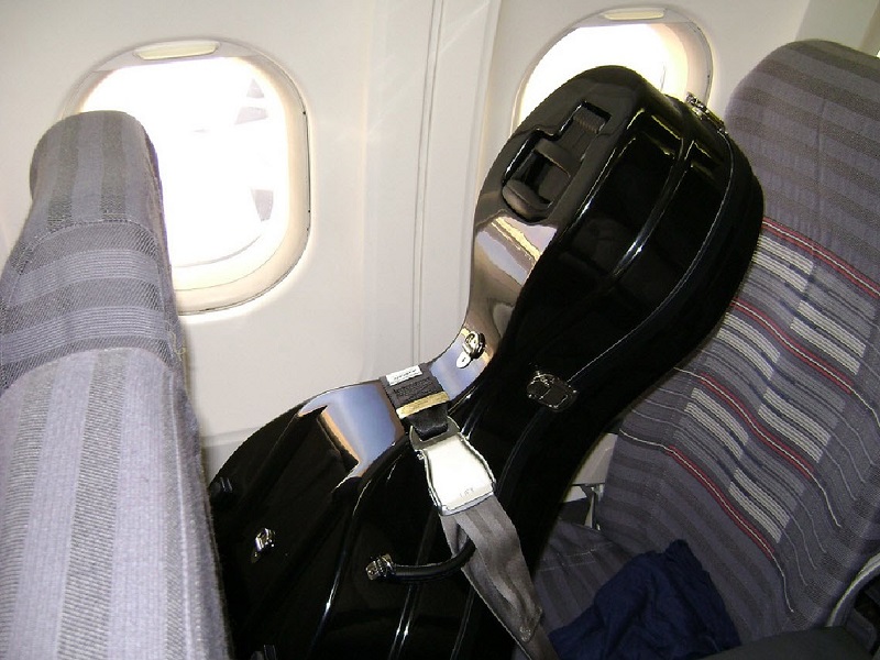 гитара в самолете