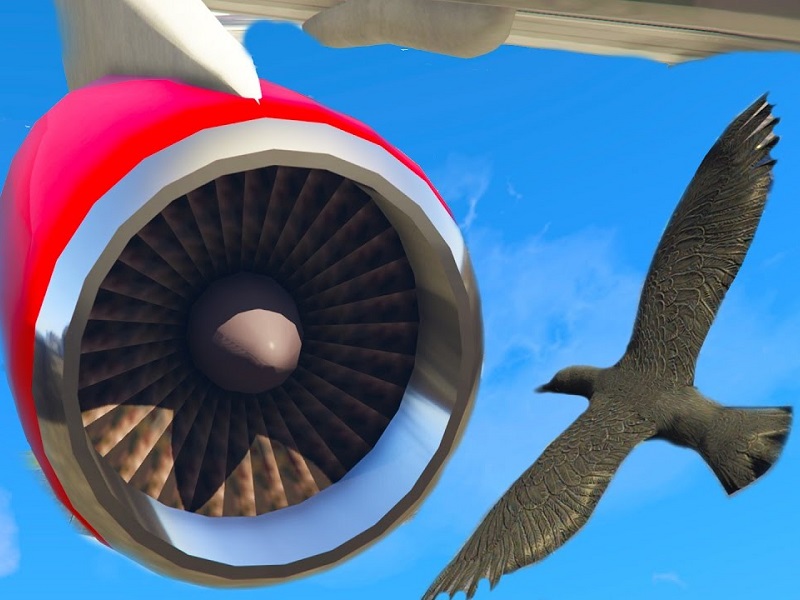 птица и двигатель самолета